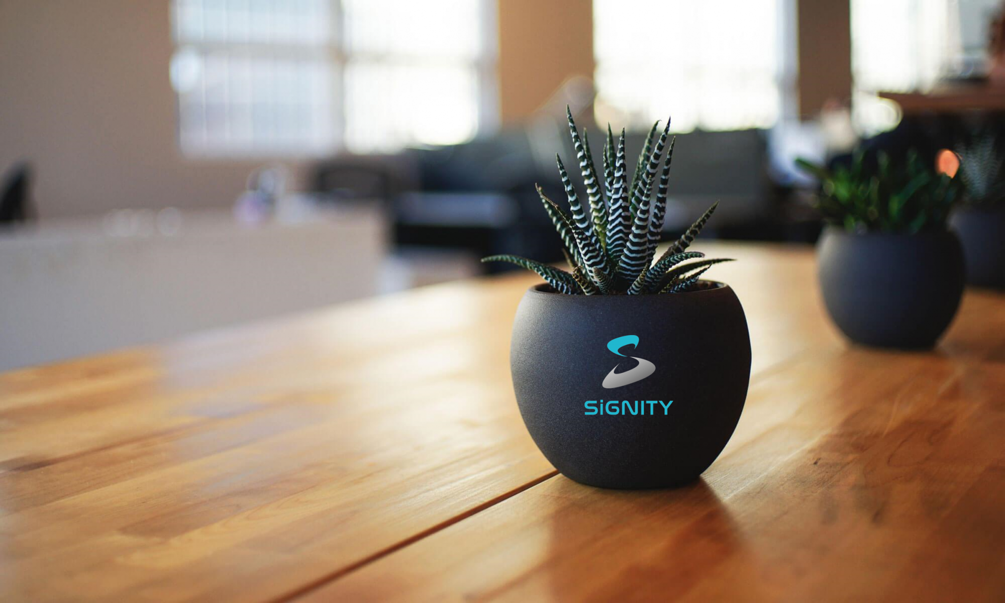 SiGNITY inc.
